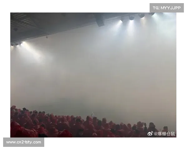 比赛因球迷燃放烟花中断5分钟，德甲独特氛围再现商业银行竞技场